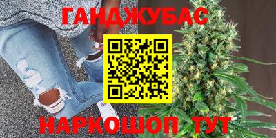 сатива Коммунар
