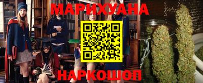 сатива Коммунар