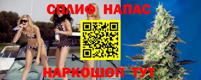 сатива Коммунар