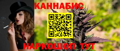 сатива Коммунар