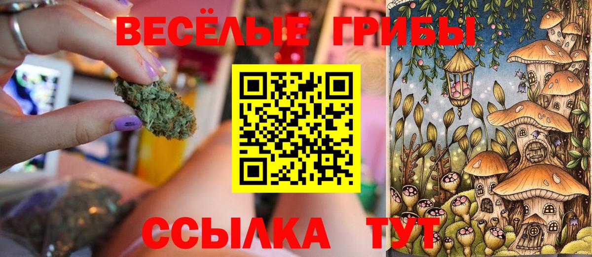 Псилоцибиновые грибы прущие грибы Кудымкар