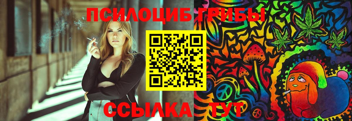 Галлюциногенные грибы Psilocybine cubensis  Вход с VPN  Кудымкар 